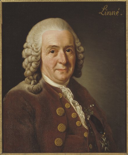 Carl Linnaeus (1707-1778) was a Swedish botanist, physician, and zoologist, who formalised the modern system of naming organisms called binomial nomenclature.