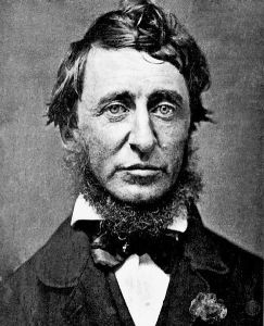 486px-Henry_David_Thoreau3