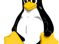 Linux at the Core of the Open Source Revolution