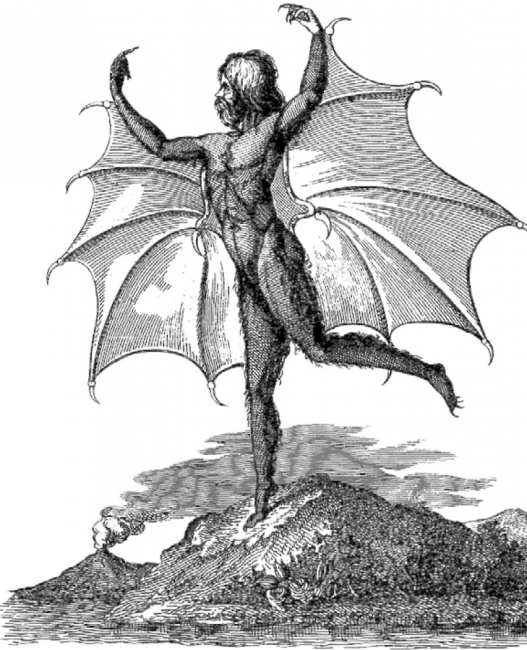 Portrait of a man-bat ("Vespertilio-homo"), from an edition of the Moon series published in Naples