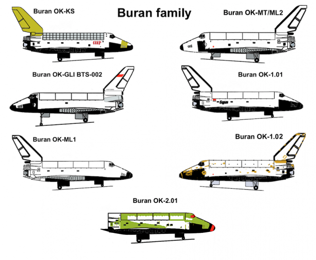 The Buran Family