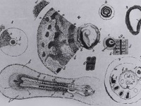 Caspar Friedrich Wolff – the Founder of Embryology