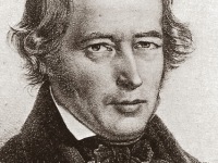 Jakob Steiner and Analytical Geometry