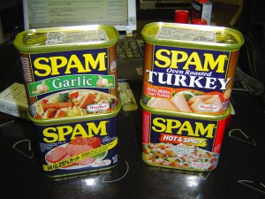 “Spam is a waste of the receivers' time, and, a waste of the sender's optimism.”