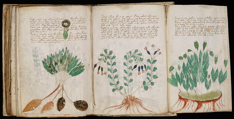 The Voynich manuscript - a famous case in the history of cryptography