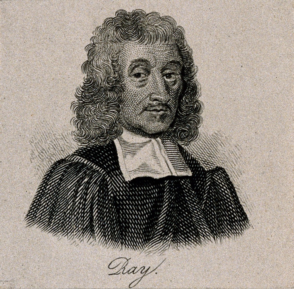 John Ray. Line engraving after Mary Beale Image Source: Wellcome Library, London