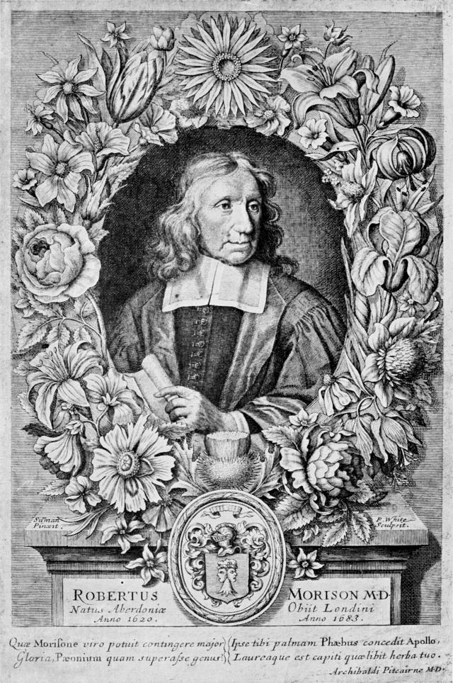 Robert Morison (1620-1683)