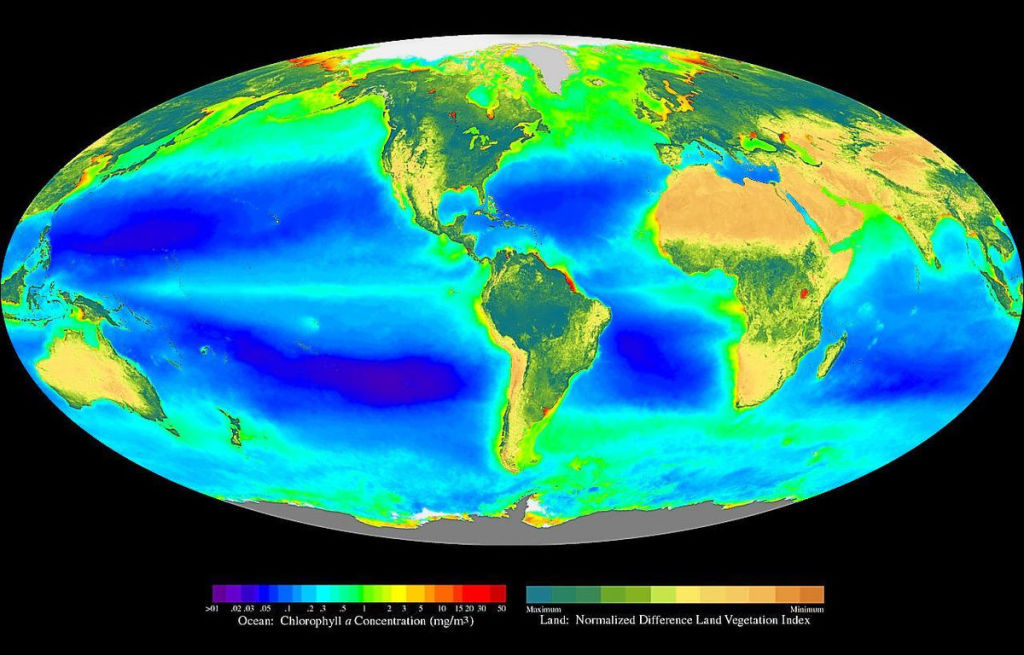 Composite image showing the global distribution of photosynthesis, including both oceanic phytoplankton and terrestrial vegetation. Dark red and blue-green indicate regions of high photosynthetic activity in ocean and land respectively.