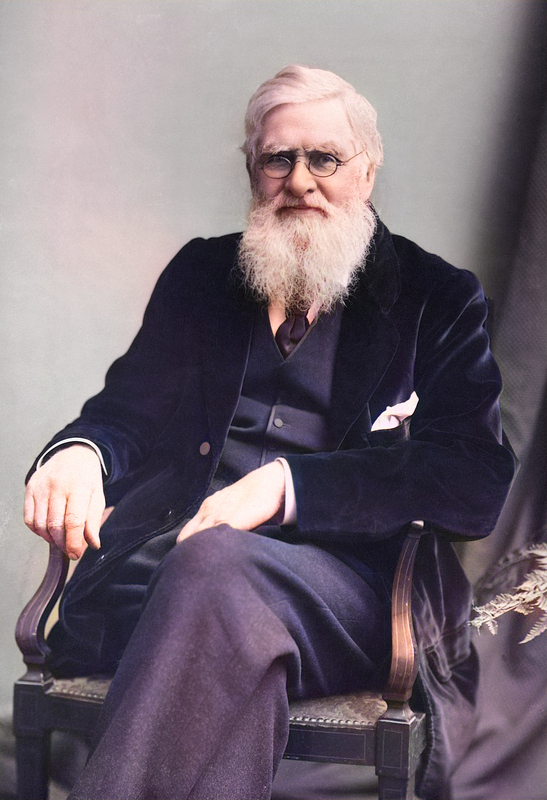 Alfred Russel Wallace (1823 – 1913)