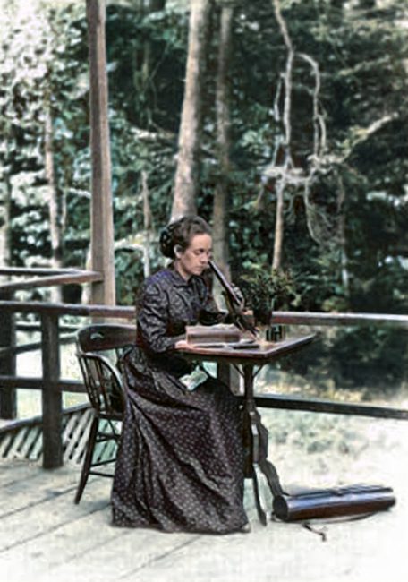 Elizabeth Gertrude Knight (Later Britton) (1858-1934)