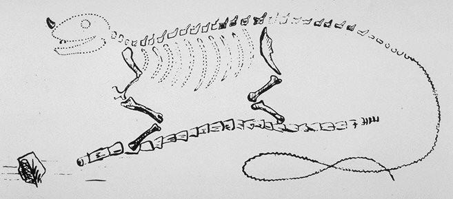 Mantell's "Iguanodon" restoration based on the Maidstone Mantellodon remains, 1834