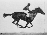 Eadweard Muybridge and the Photography of Motion