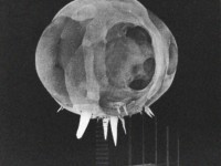 Harold Eugene Edgerton and the High Speed Photography