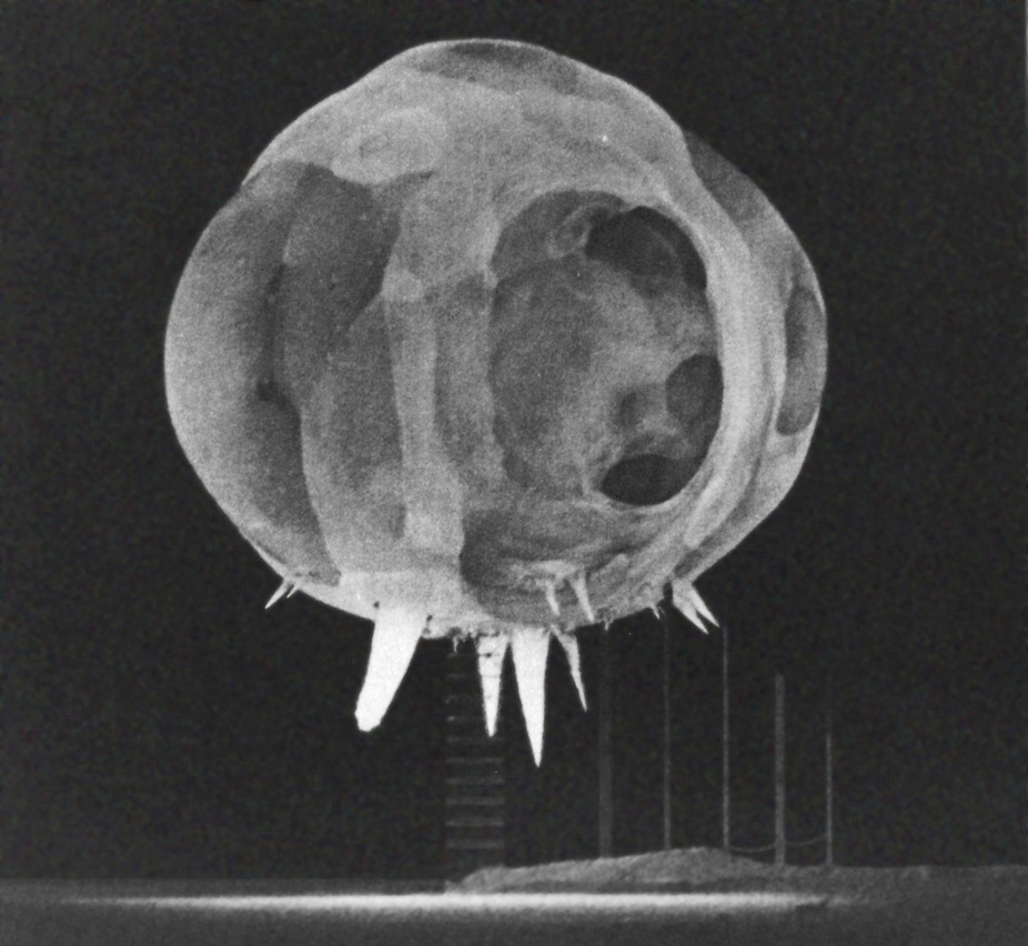 Nuclear explosion captured by Edgerton's Rapatronic camera (U.S. Air Force 1352nd Photographic Group)