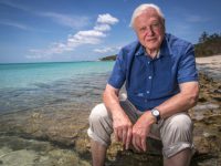 David Attenborough and Life on Planet Earth