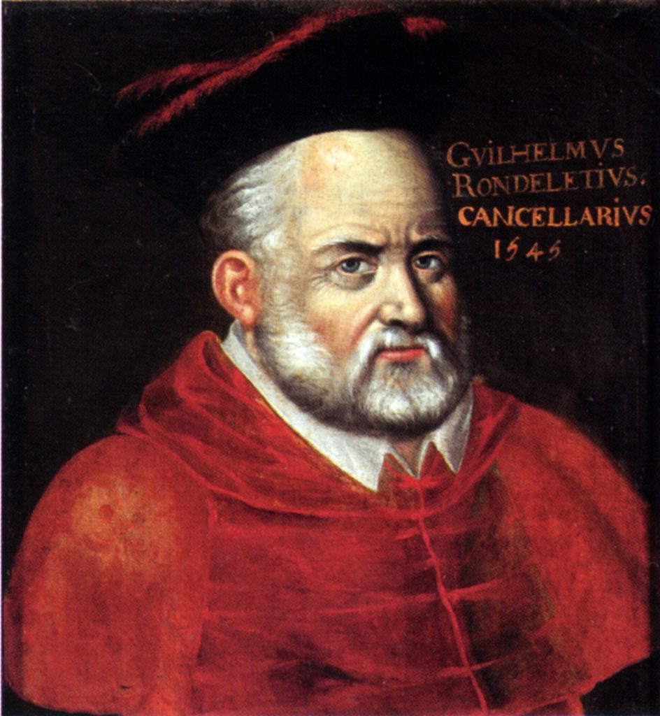 Guillaume Rondelet (1507-1566) Portrait de la Faculté de Médecine de Montpellier