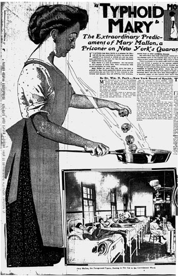 Typhoid Mary in a 1909 newspaper illustration