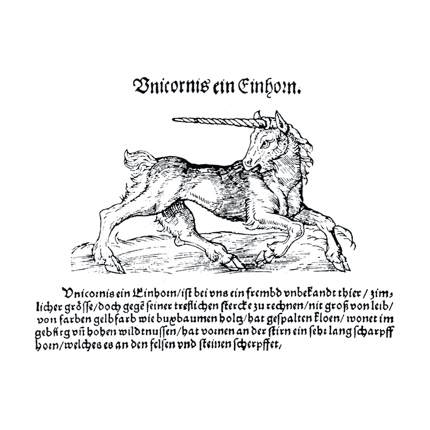 Unicorn. from Albertus Magnus, De animalibus, woodcut, Frankfurt am Main, 1545.