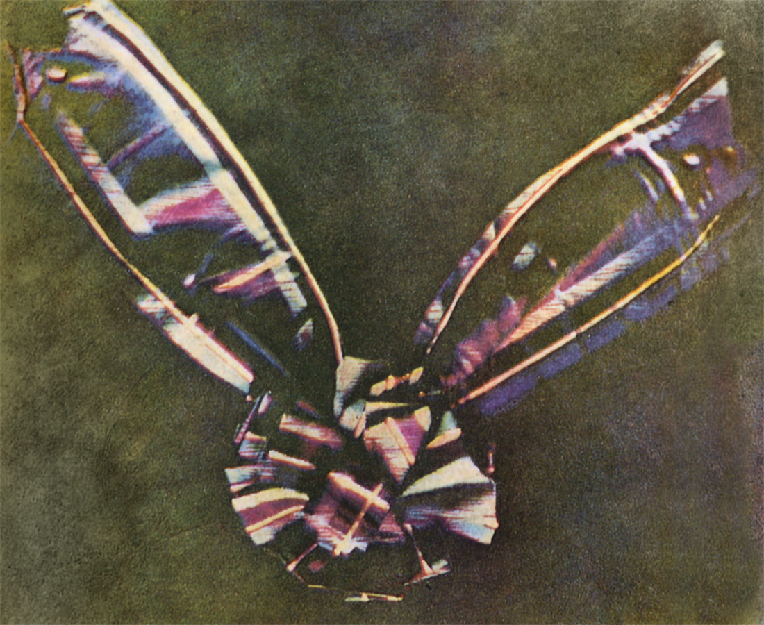 James Clerk Maxwell And The Very First Colour Photograph SciHi Blog