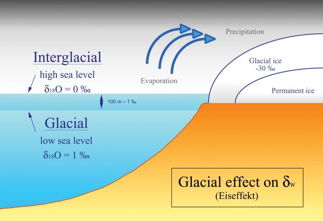 Glacial effect (after Shackleton): The ratio of stable oxygen isotopes 16O/18O in the oceans is changed by the build up of ice sheets on the continents during glacials due to fractionated evaporation and precipitation in high latitudes. A global change in sea level of about 100 m between glacials and interglacials generates a difference of 1 per mil. The variations in the isotope ratio are archived in carbonaceous plankton shells and can be used to date quaternary sediments and reconstruct paleoclimate.
