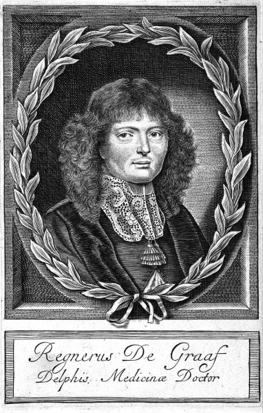 Regnier de Graaf (1641 - 1673)