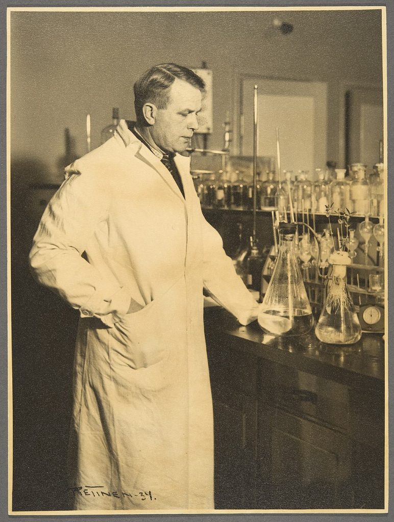 Virtanen at his laboratory in 1934