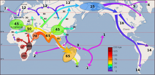 Map of early human migrations based on the Out of Africa theory.