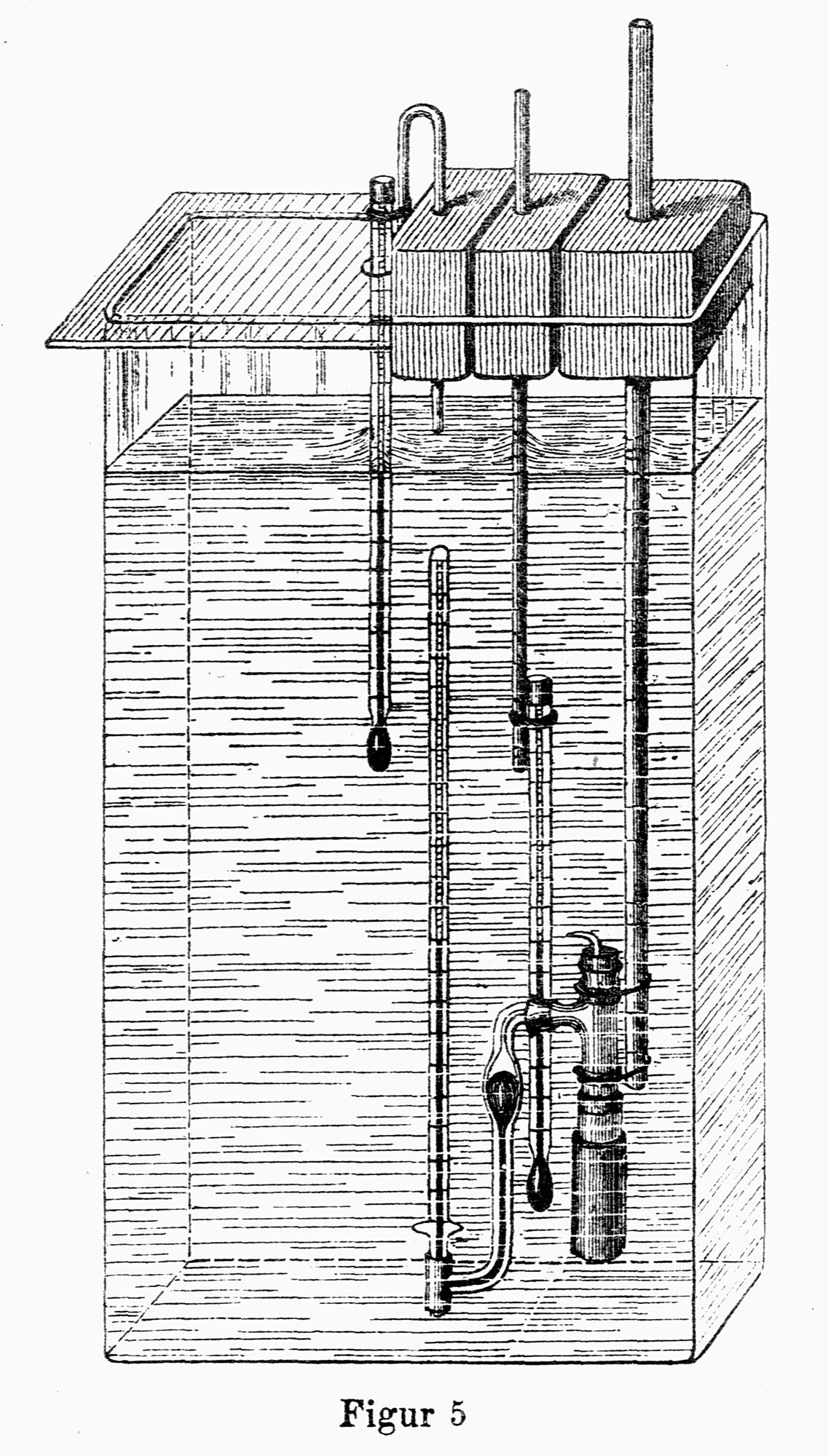 Wilhelm Pfeffer a Pioneer of Plant Physiology SciHi Blog