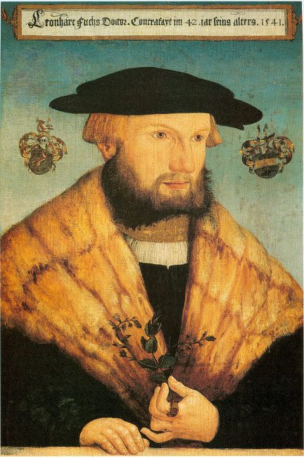 Leonhart Fuchs (1501-1566)