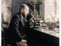 Santiago Ramón y Cajal and the Microscopic Structure of the Brain