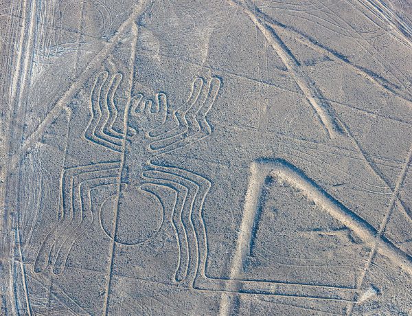 The spider, one of the large petroglyphs of the Nazca plane is 47 m long 