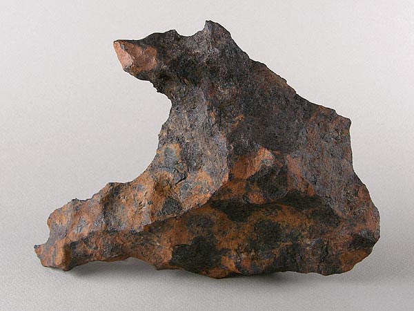 Fragment of the Canyon Diablo iron meteorite.