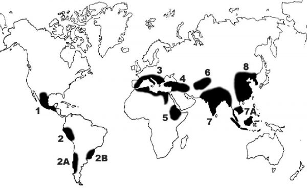 Vavilov center of origin. 1) Mexico-Guatemala, (2) Peru-Ecuador-Bolivia, (2A) Southern Chile, (2B) Southern Brazil, (3) Mediterranean, (4) Middle East, (5) Ethiopia, (6) Central Asia, (7) Indo-Burma, (7A) Siam-Malaya-Java, (8) China and Korea
