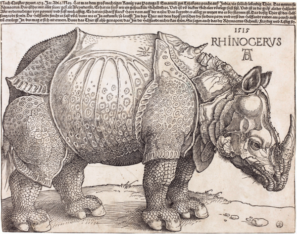 Albrecht Dürer, The Rhinoceros, 1515