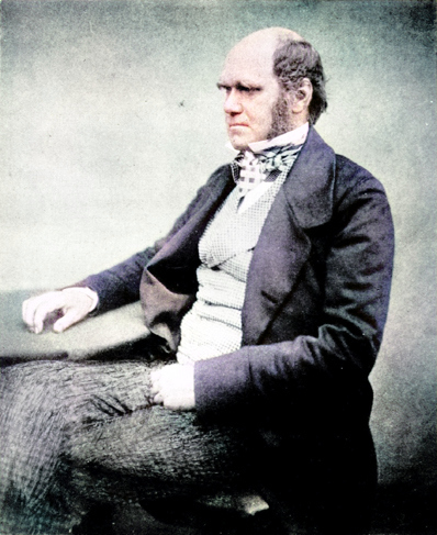 Charles Darwin (1809 - 1882), portrait by Messrs. Maull and Fox, c. 1854