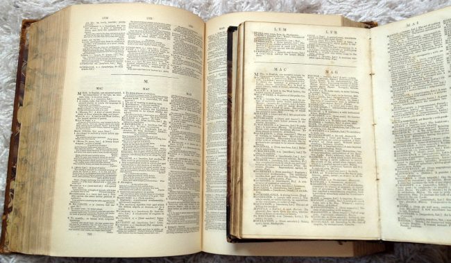 Samuel Johnson's Folio and Abridged dictionaries together