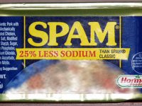 SPAM Rules the Internet