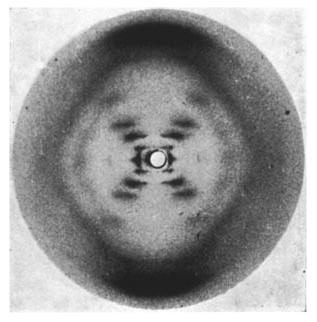 X-ray diffraction image of the double helix structure of the DNA molecule, taken 1952 by Raymond Gosling, commonly referred to as "Photo 51", during his work with Rosalind Franklin on the structure of DNA