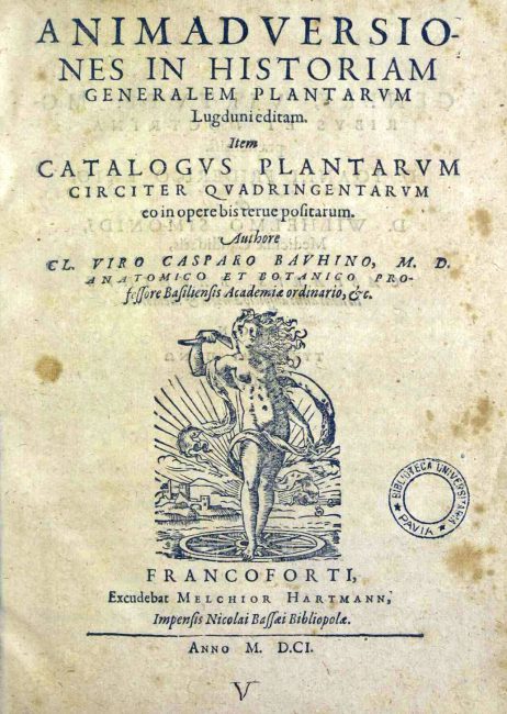 Gaspard Bauhin, Animadversiones in historiam generalem plantarum, 1601