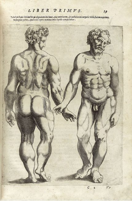 Giambattista della Porta (1586) De humana physiognomonia libri IIII, pp. 19
