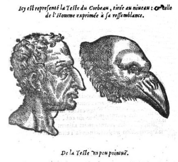 Comparison with a crow's head, Della Porta, De humana physiognomia